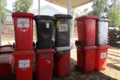 28-enero-2021-IMG_4283