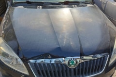 IMG-20230504-WA0073