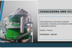 Diapositiva1
