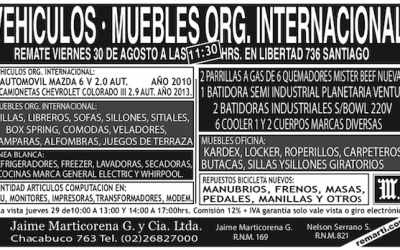 Vehiculos – Muebles ORG. Internacional