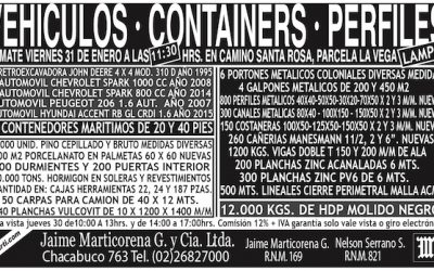 Vehículos container perfiles